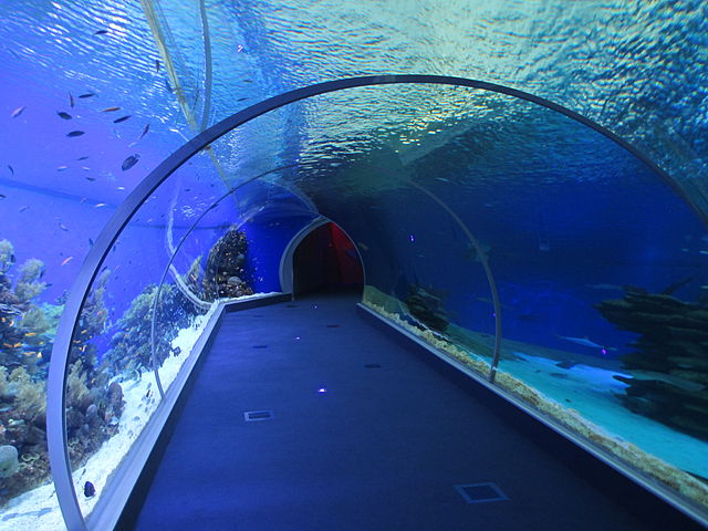 подводная обсерватория в Эйлате