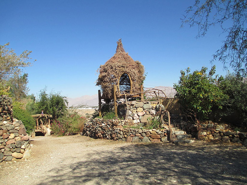 ботанический сад