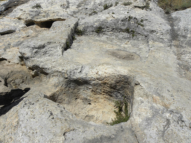 винный пресс