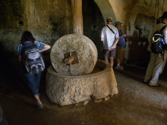 оливковый пресс